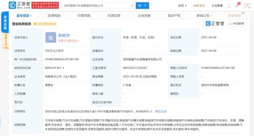 商務信息咨詢 企業(yè)決策的智慧引擎與商業(yè)成功的導航者